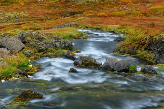 Premium Photographic Print, , large