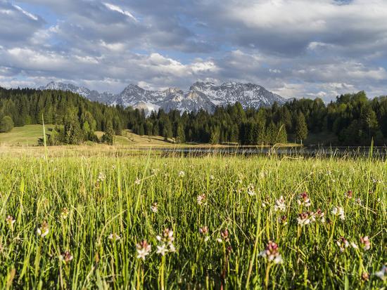 Premium Photographic Print, , large