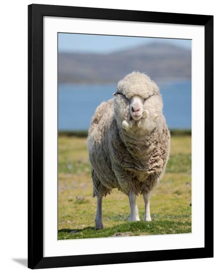 Photographic Print, , large