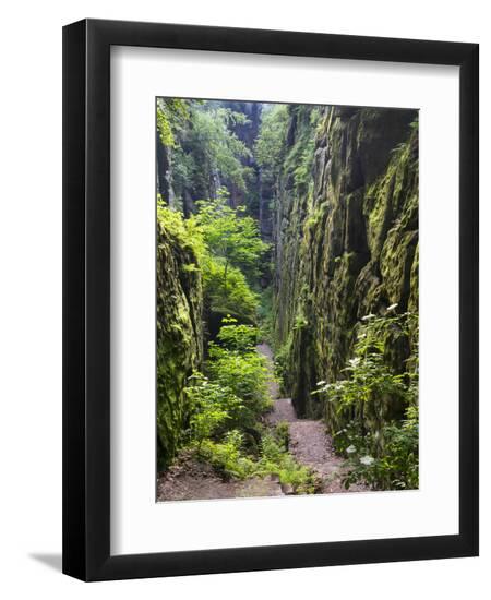 Premium Photographic Print, , large