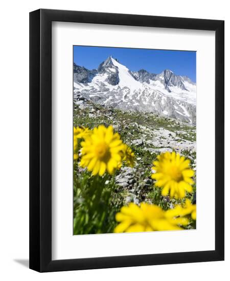 Premium Photographic Print, , large