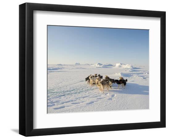 Premium Photographic Print, , large