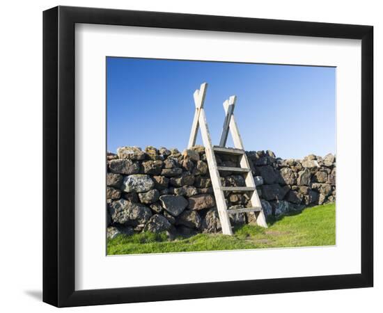 Premium Photographic Print, , large