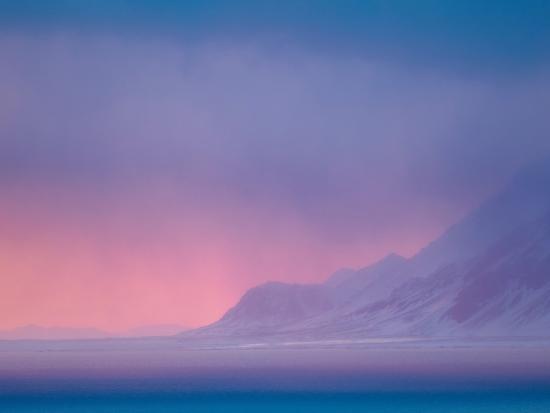 Premium Photographic Print, , large
