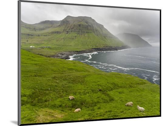 Photographic Print, , large