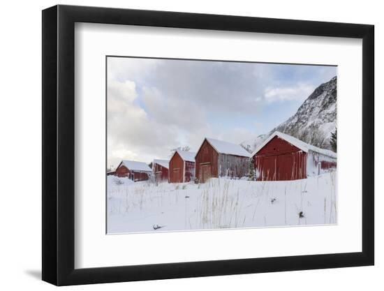 Premium Photographic Print, , large