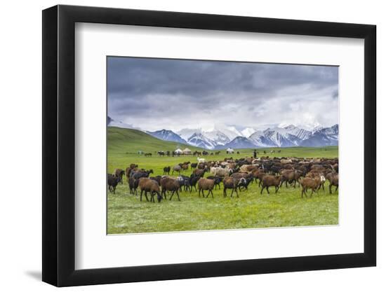 Photographic Print, , large