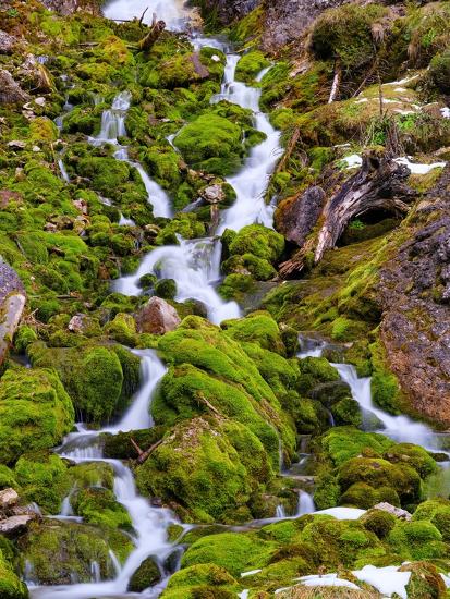 Premium Photographic Print, , large