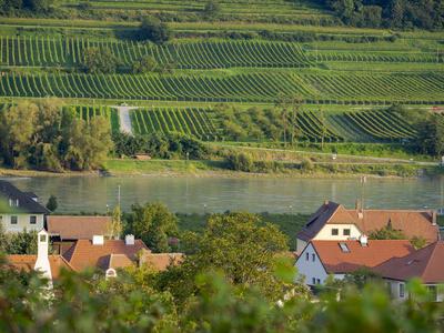 View over historic village Spitz towards the vineyards near Hofarnsdorf