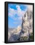 Essential Black