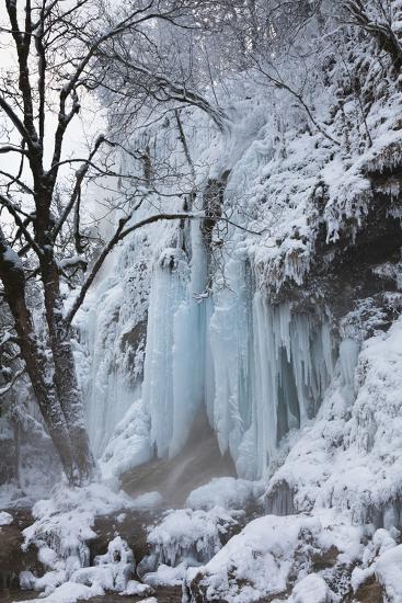 Premium Photographic Print, , large