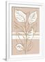 Gramercy White