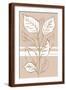 Brown Frame