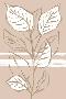 Laminate