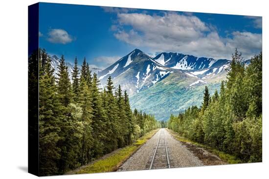 Stretched Canvas Print, , large