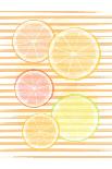 Citrus-Martina-Giclee Print