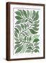 Brown Frame