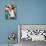 Martina Hingis-null-Photo displayed on a wall