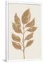 Gramercy White