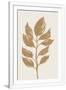 Gramercy White