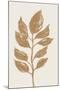 Wood Mount