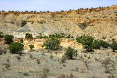 At the Ojito Wilderness Area, New Mexico-Martina Roth Kunst-Foto-Design-Photographic Print