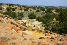 At the Ojito Wilderness Area, New Mexico-Martina Roth Kunst-Foto-Design-Framed Photographic Print