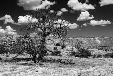 Ice in the Jemez River-Martina Roth Kunst-Foto-Design-Photographic Print