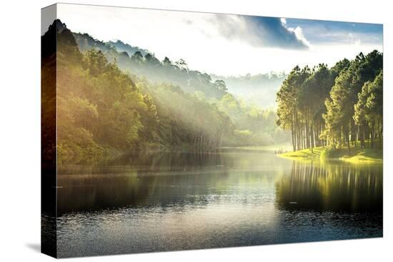 Stretched Canvas Print, , large