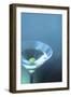 Martini 5-John Gusky-Framed Premium Photographic Print