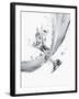 Martini and Stream of Water-David Jay Zimmerman-Framed Photographic Print