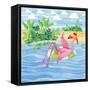 Martini Float Flamingo-Paul Brent-Framed Stretched Canvas