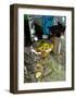 Martini on the Marble Table-Steve Ash-Framed Giclee Print