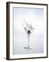 Martini with Green Olive (Splash)-Klaus Arras-Framed Photographic Print