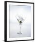 Martini with Green Olive (Splash)-Klaus Arras-Framed Photographic Print