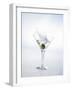 Martini with Green Olive (Splash)-Klaus Arras-Framed Photographic Print