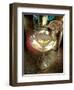 Martini with Lemon Peel-Steve Ash-Framed Giclee Print