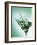 Martini with Olive Splash-Steve Lupton-Framed Premium Photographic Print