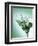 Martini with Olive Splash-Steve Lupton-Framed Premium Photographic Print