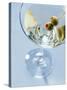 Martini with Olives-Steve Lupton-Stretched Canvas