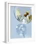 Martini with Olives-Steve Lupton-Framed Photographic Print