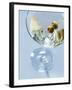 Martini with Olives-Steve Lupton-Framed Photographic Print