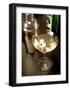 Martini with Two Onions-Steve Ash-Framed Giclee Print