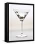 Martini-null-Framed Stretched Canvas