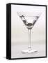 Martini-null-Framed Stretched Canvas