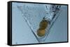 Martini-Gordon Semmens-Framed Stretched Canvas