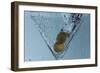 Martini-Gordon Semmens-Framed Photographic Print