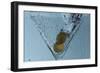 Martini-Gordon Semmens-Framed Photographic Print