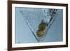 Martini-Gordon Semmens-Framed Photographic Print