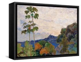 Martinique Landscape, 1887 (Detail)-Paul Gauguin-Framed Stretched Canvas